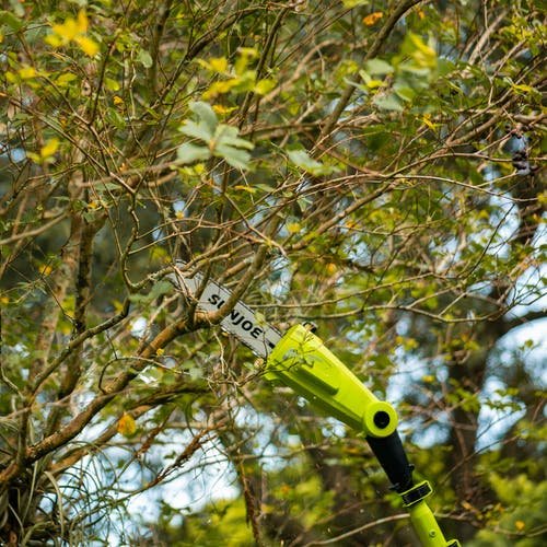 24V-PS10-LTE Sun Joe 24-Volt iON+ Telescoping Pole Cordless Chainsaw-6
