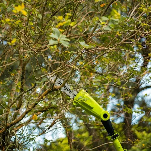 24V-PS10-LTE Sun Joe 24-Volt iON+ Telescoping Pole Cordless Chainsaw-6