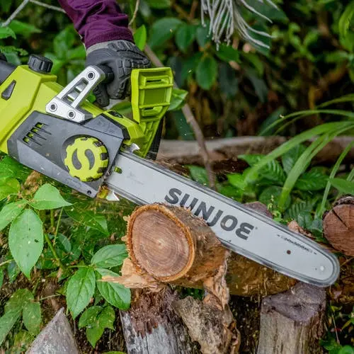 24V-X2-CS16 Sun Joe 48-Volt iON+ Cordless Chain Saw Kit-6