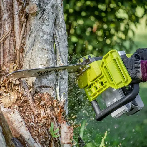24V-X2-CS16 Sun Joe 48-Volt iON+ Cordless Chain Saw Kit-7