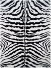 Medium White Zebra Skin- Fun Time