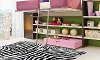 Medium White Zebra Skin- Fun Time-2