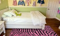 Pink Zebra Skin- Fun Time-2