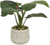 Artificial Green Arrangement in Stone Washed Pot
