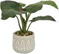 Artificial Green Arrangement in Stone Washed Pot