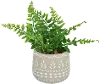 Artificial Green Fern Arrangement in Stone Washed Pot Planter