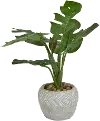 Artificial Green Plant Arrangement in Rustic Leaf Pot
