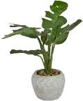 Artificial Green Plant Arrangement in Rustic Leaf Pot