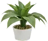 Artificial Green Arrangement Planter in Cream Pot