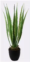 Artificial Green Agave Plant Arrangement in Black Planter