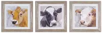 Wood Framed Cow Print