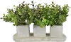 Faux Green Plant Arrangement in Attached 3 Square Planter