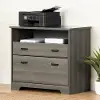 13101 Versa Gray Maple 2-Drawer File Cabinet - South Shore