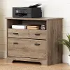 13102 Versa Weathered Oak 2-Drawer File Cabinet - South Shore