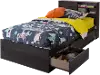 12507 Modern Gray Oak Bed with Bookcase Headboard - South Shore