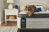 52831951 Clearance Sealy Medium Euro Top Queen Mattress - Diggens