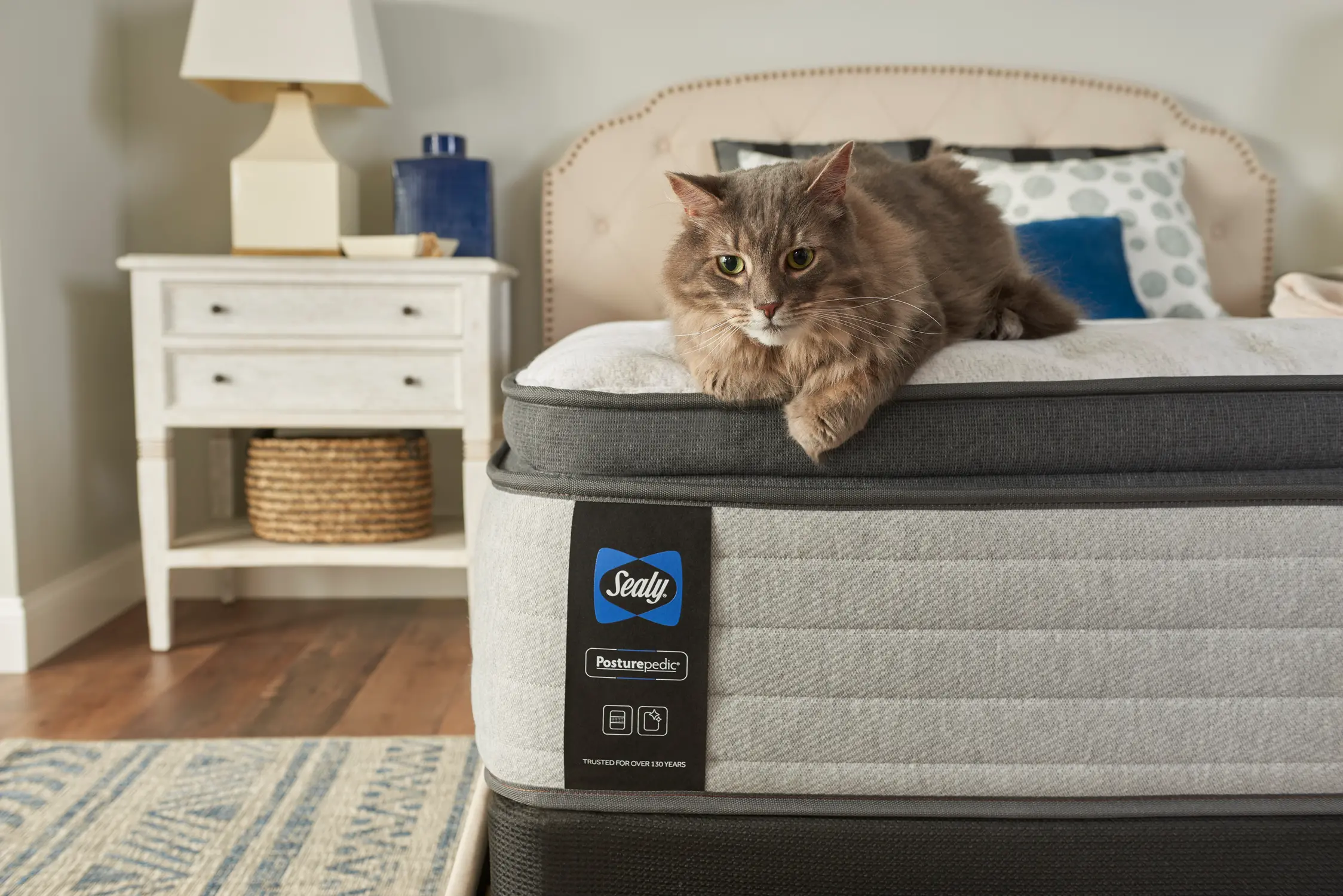 52831951 Sealy Medium Euro Top Queen Mattress - Diggens-1