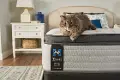 52831951 Sealy Medium Euro Top Queen Mattress - Diggens