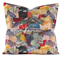 Multi Color Clippings 20 Inch Feather Throw Pillow