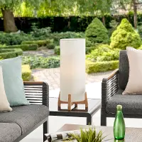 Hayes White and Wood Outdoor Cordless Table Lamp with Rechargeable Bulb