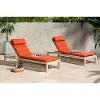 Tikka Orange Chaise Lounges - Benson