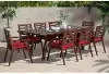 Sunset Red 9 Piece Patio Dining Set - Vaughn