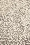 MAS-02 Masai 5 x 8 Safari Gray and Ivory Area Rug