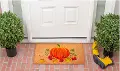 121981729 Nature's Bounty Doormat