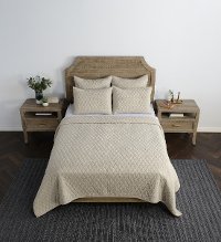 Lana Natural Taupe 3 Piece Queen Bedding Collection-3