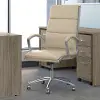 CH1701AWL-03 White Leather High Back Executive Chair