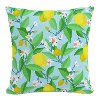 PL18PSMCTBLUTSP 18 Summer Citrus Blue Pillow