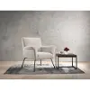 Bukit Mid Century Modern Alisa Abalone Light Gray Accent Chair