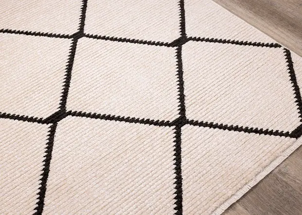 Calabar 5' x 8' Southwestern Neutral Area Rug-4