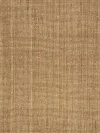 Naturals 5 x 8 Beige Area Rug