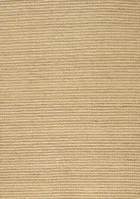 Naturals 5 x 8 Striped Beige Area Rug