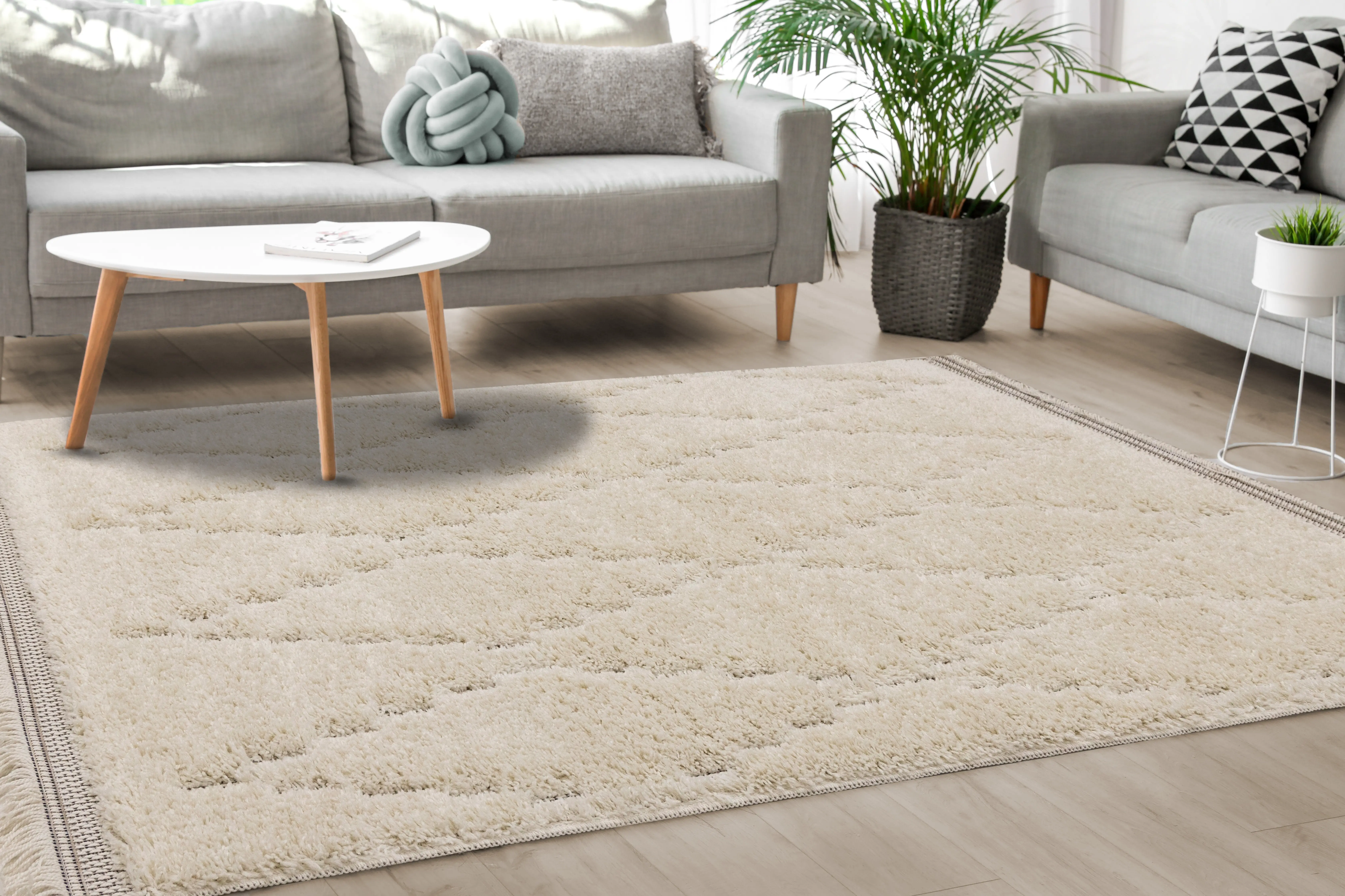 Novato 2 x 4 Chic Cream Shag Rug-3