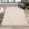 Novato 5 x 8 Chic Cream Shag Rug