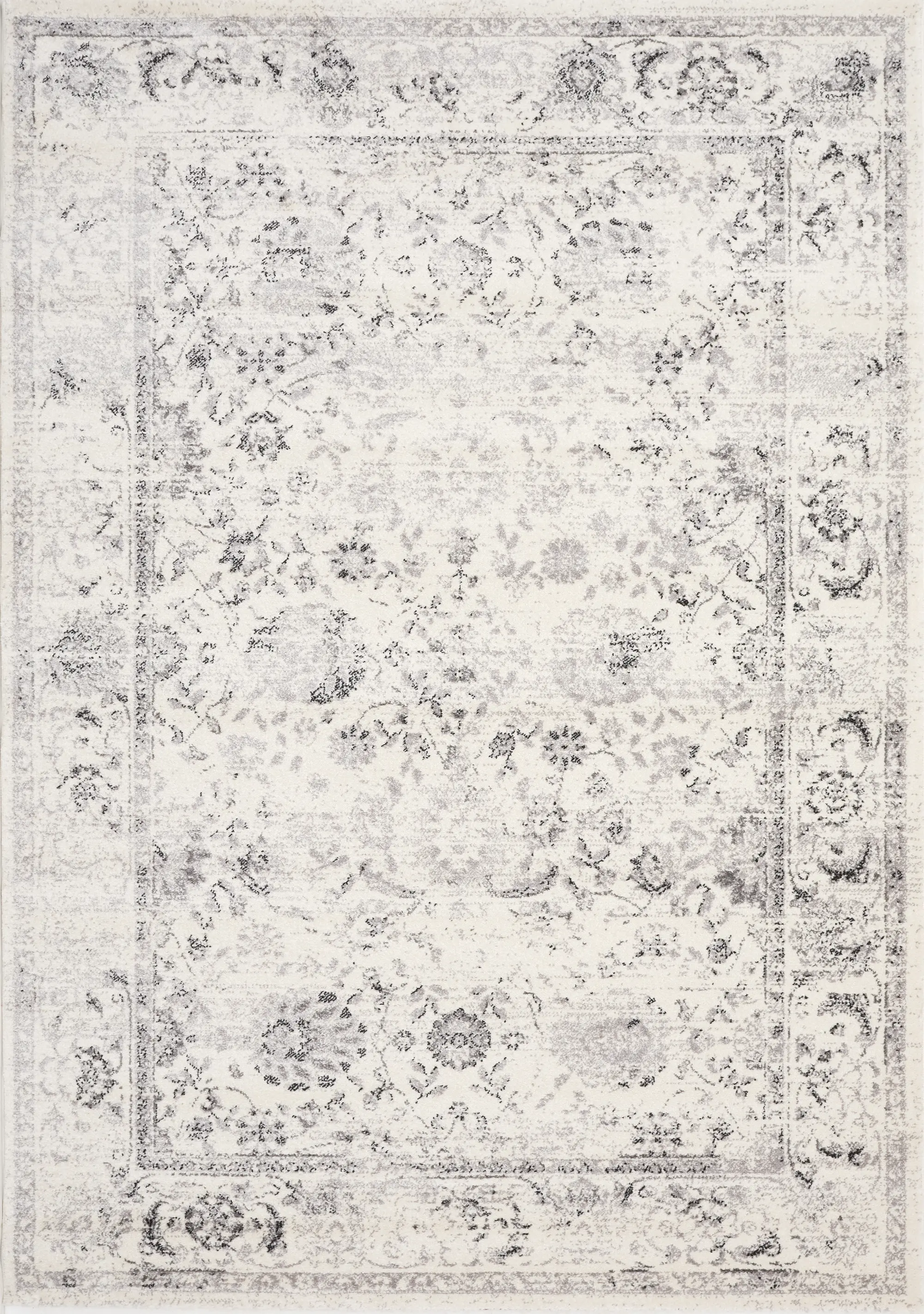 Safi 5 x 8 Elegant Border Cream Area Rug-1