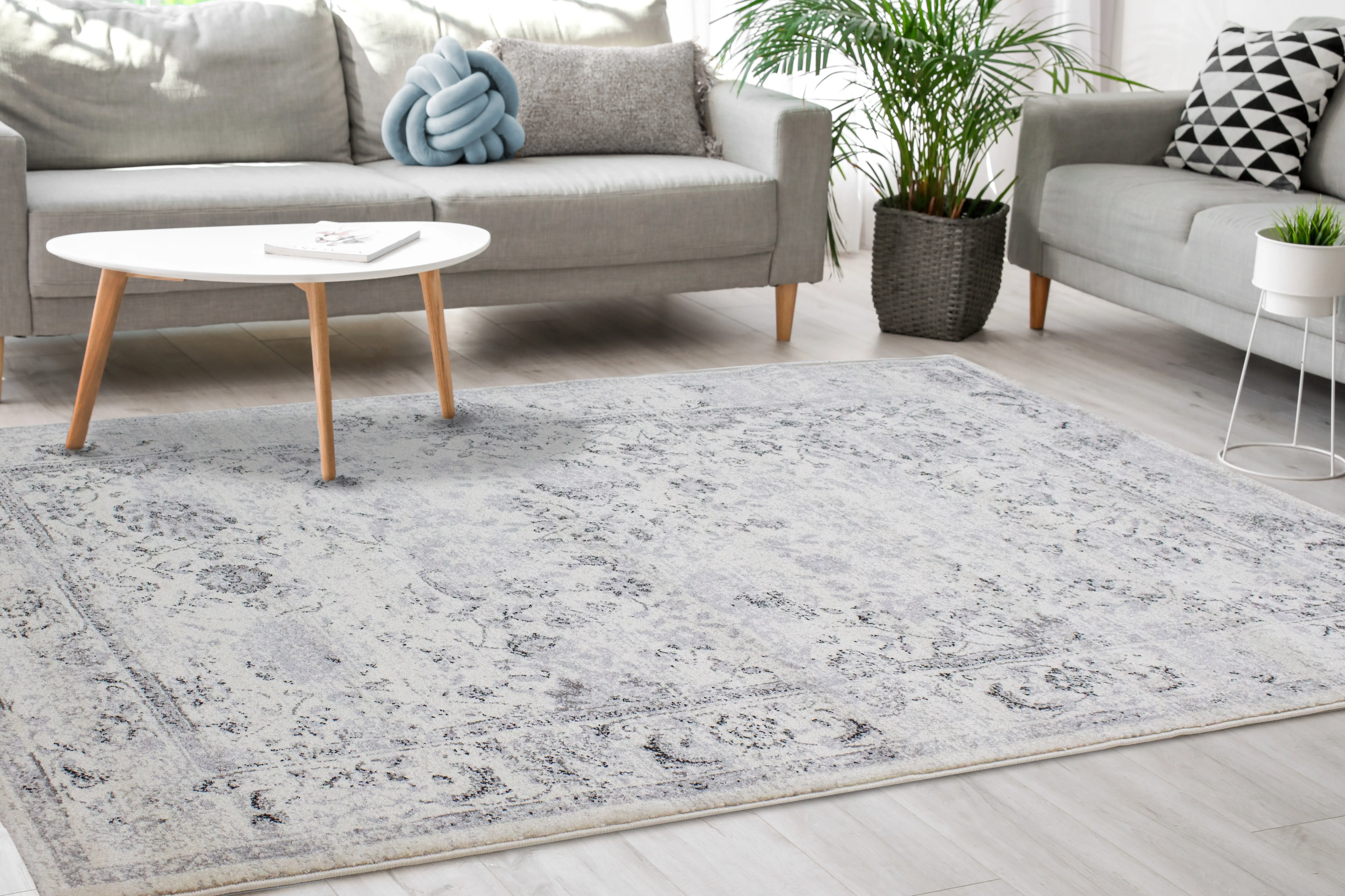Safi 5 x 8 Elegant Border Cream Area Rug-3