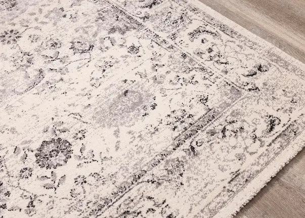 Safi 5 x 8 Elegant Border Cream Area Rug-4