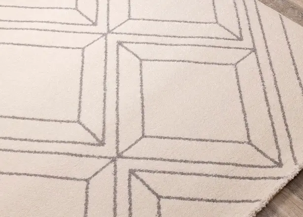 Safi 5 x 8 Diamond Cream and Gray Area Rug-4