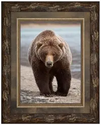 Grizzly Bear Framed Wall Art
