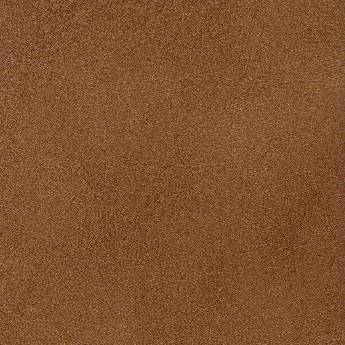 Ashokan Camel Brown Power Reclining Loveseat-7