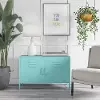 Cache Mint 2-Door Metal Locker