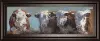 Bull & Babe By Carolyn Hawl Wall Art