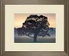 Clearance Evening Wisdom By Assaf Frank Framed Wall Art