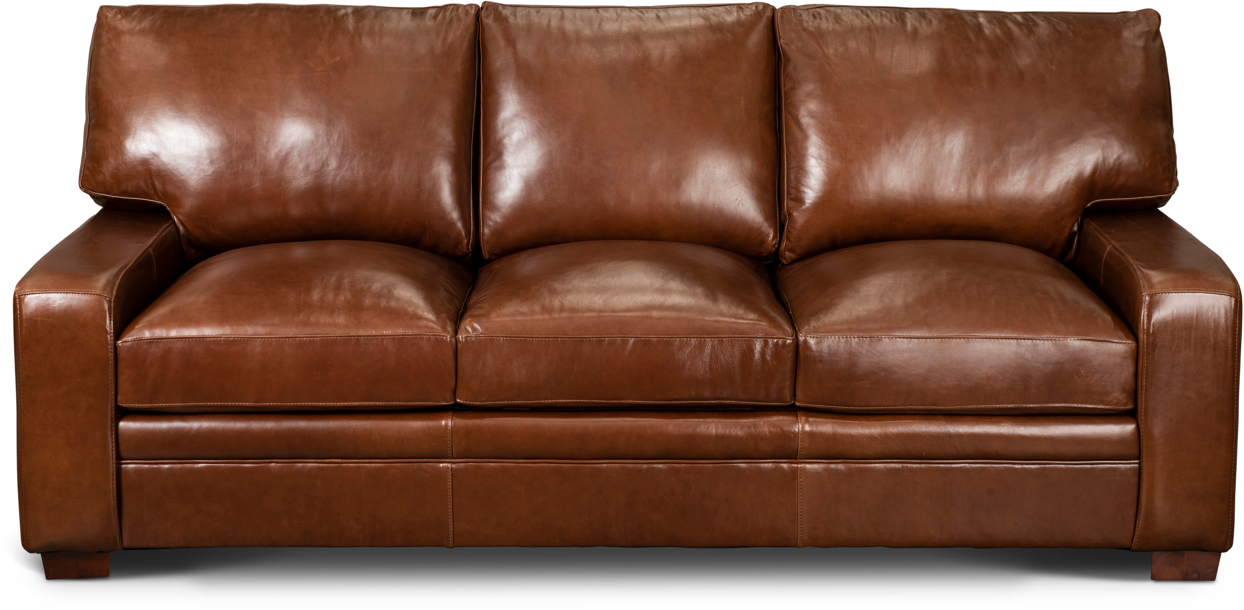 Anejo Brown Leather Sofa-1
