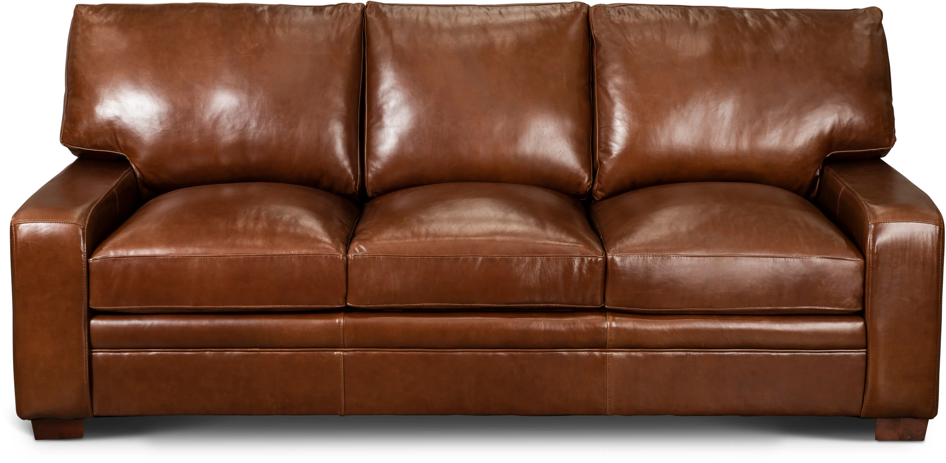 Anejo Brown Leather Sofa-1