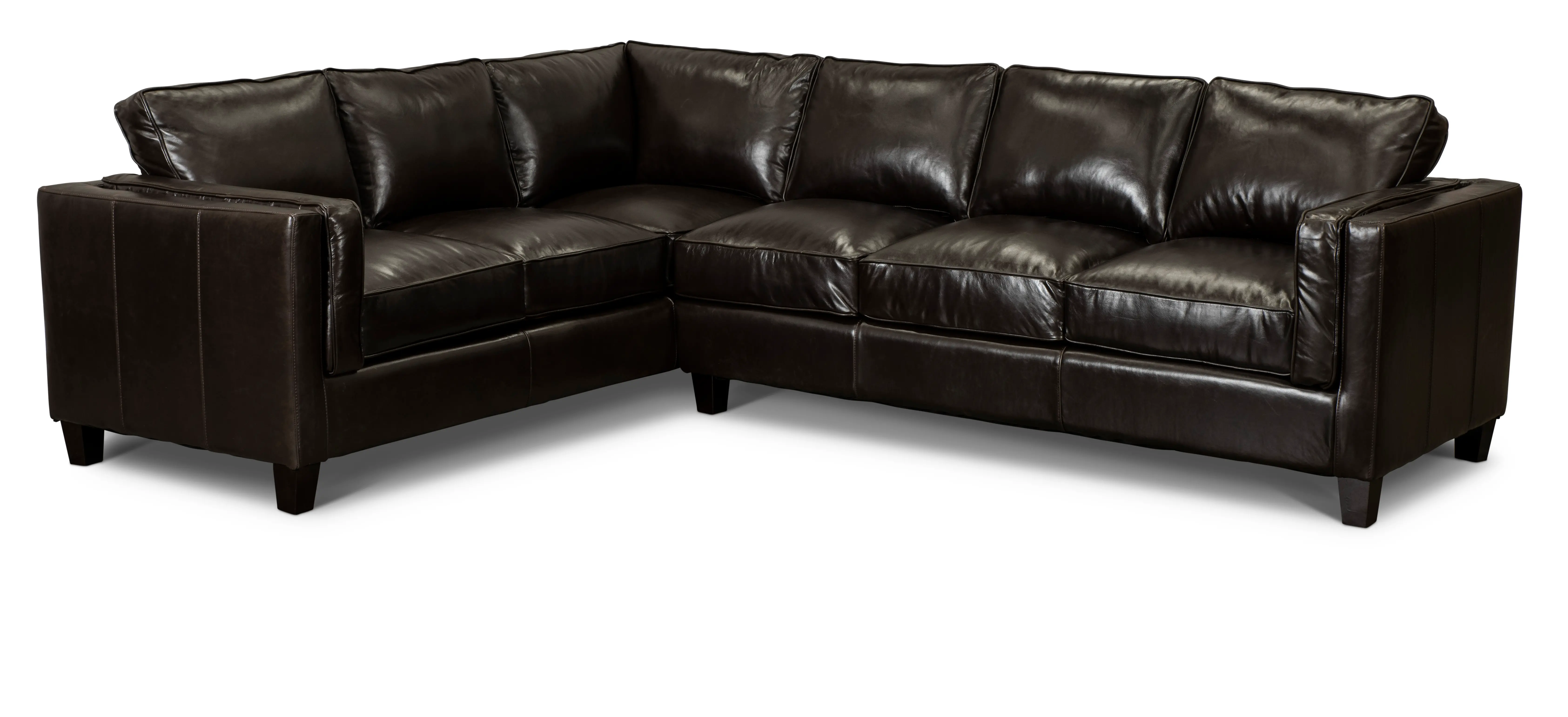 Cigar Dark Brown 2-Piece L-Shaped Leather Sectional-2