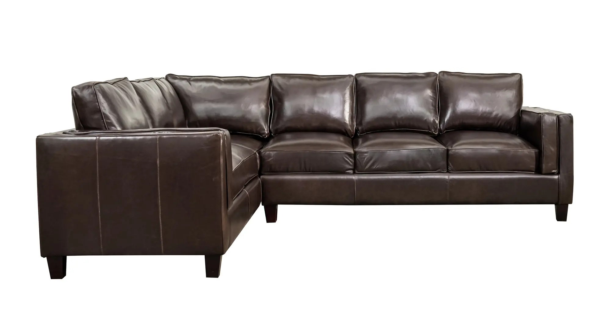 Cigar Dark Brown 2-Piece L-Shaped Leather Sectional-4
